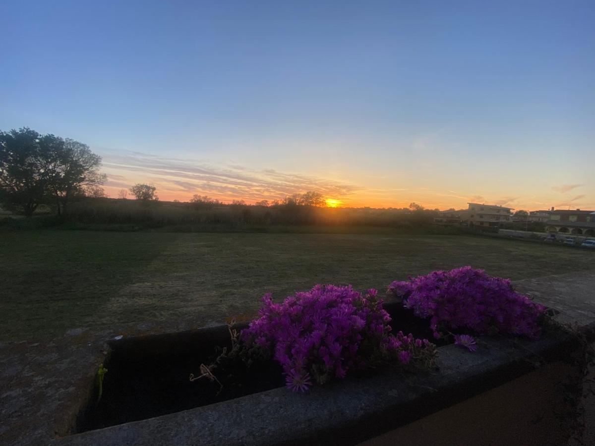 Bed and Breakfast I 4 Mori Fiumicino Esterno foto